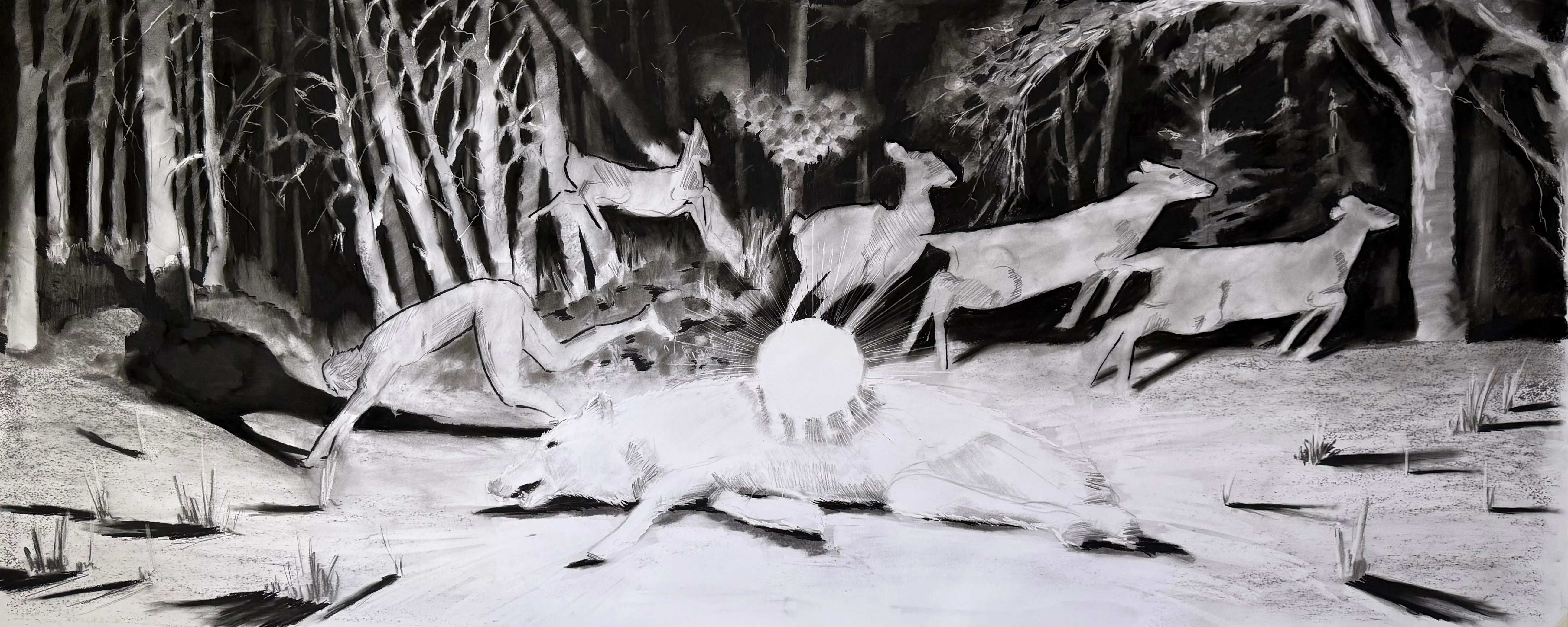 Зображення "Коляда" від kohinooooooooooooor, розмір: 220 x 90 см | 86.6 x 35.4 in, матеріали: Вугілля на папері, медіум: Графіка, місто: Київ, серія: Сонце, ціна: €500 Фото 1 з 3.