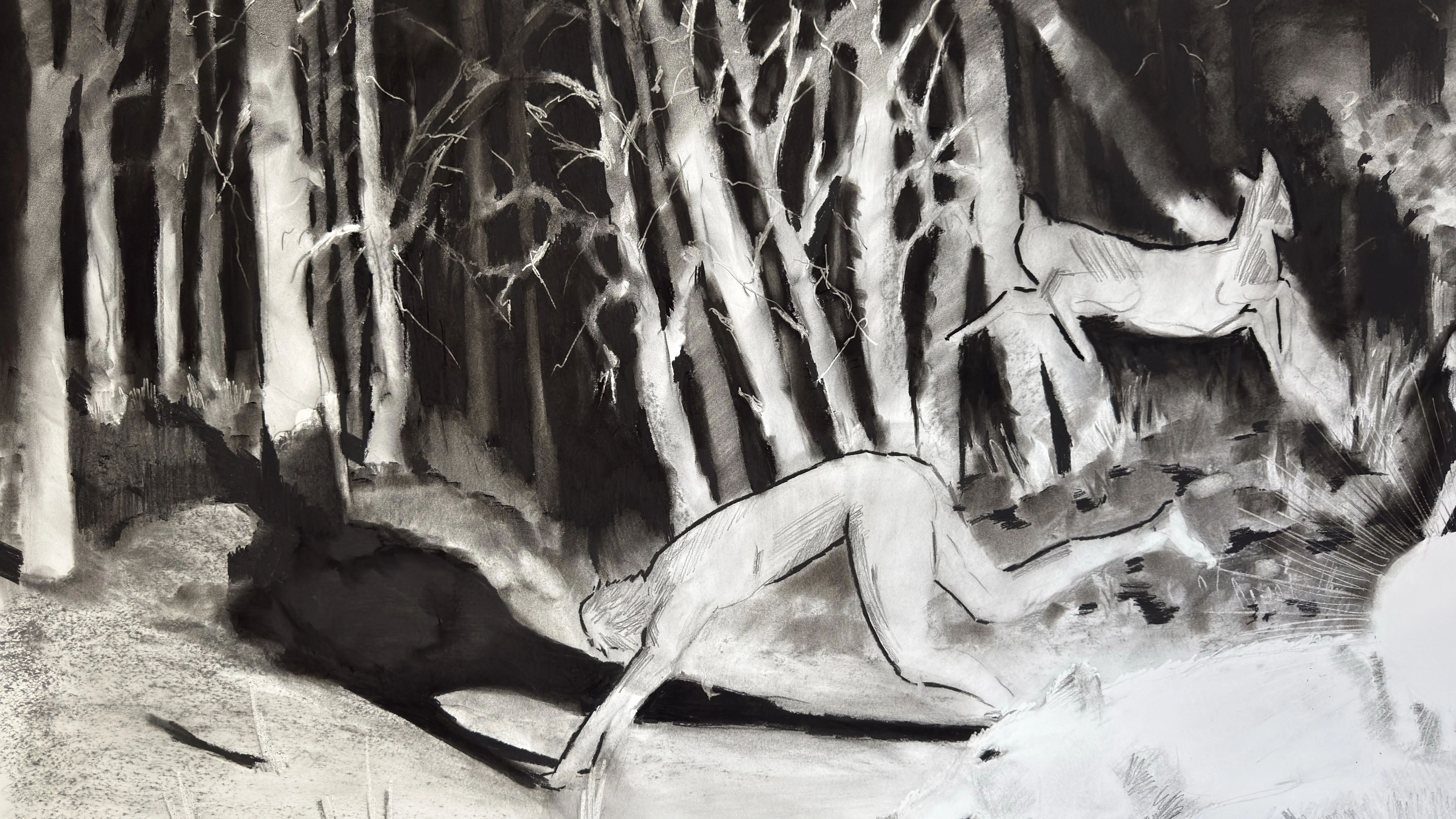 Image of Koliada by kohinooooooooooooor, size: 220 x 90 см | 86.6 x 35.4 in, made of Charcoal on paper, Graphics medium, from Kyiv, part of the Sun series, priced at €500 Photo 3 of 3.