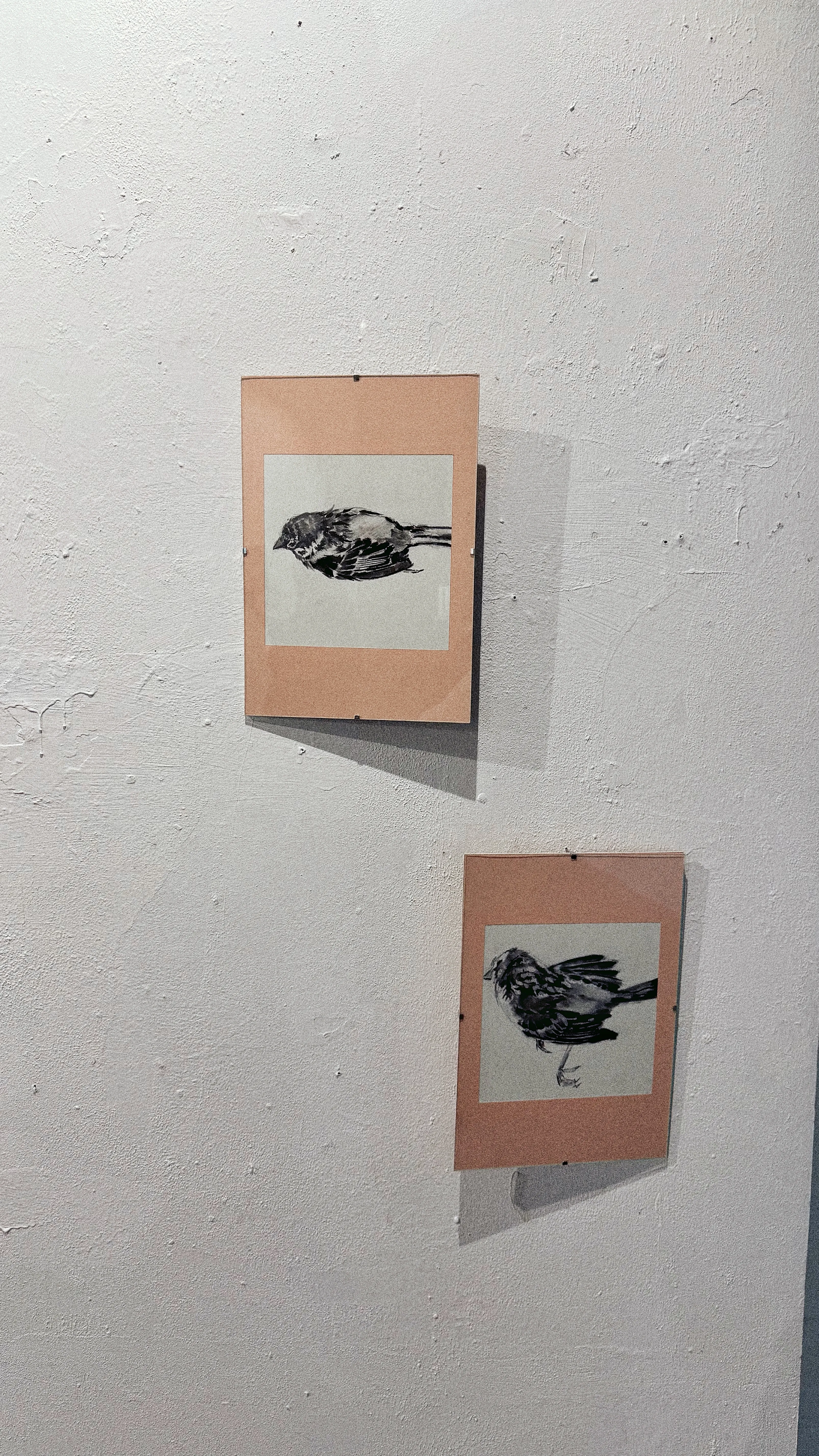 Фото до проєкту "Будинок котрий побудував Кохінур" від kohinooooooooooooor, проєкт типу Виставки, базується у Київ, створено у 15.09.2025 Фото 1 з 19.