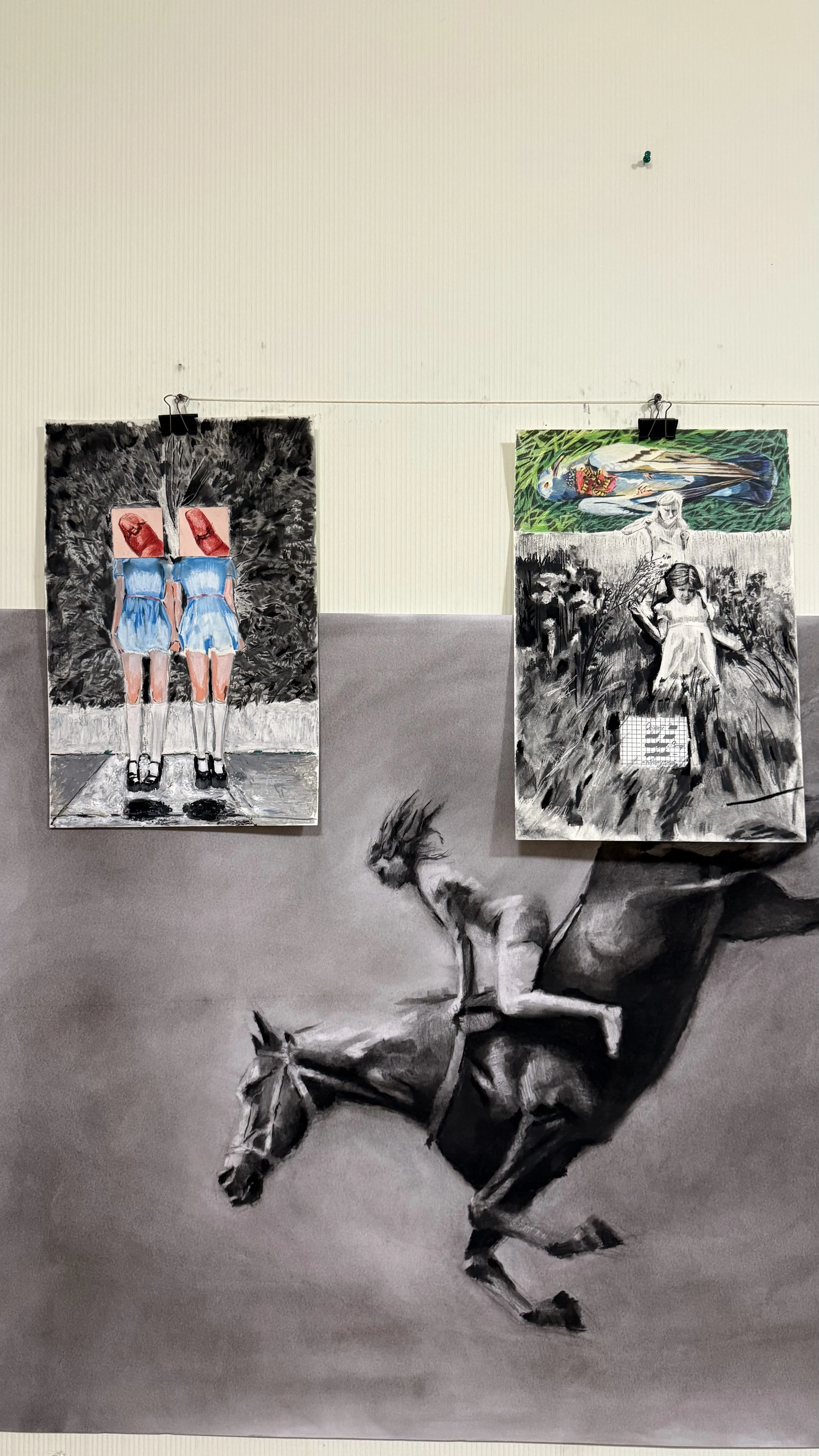 Image of Untitled by kohinooooooooooooor, size: 45.7 x 30.5 см | 18 x 12 in, made of Charcoal, colored pencils, Graphics medium, from Kyiv, part of the Ейфорбіа хеліоскопія series, priced at €170 Photo 3 of 3.