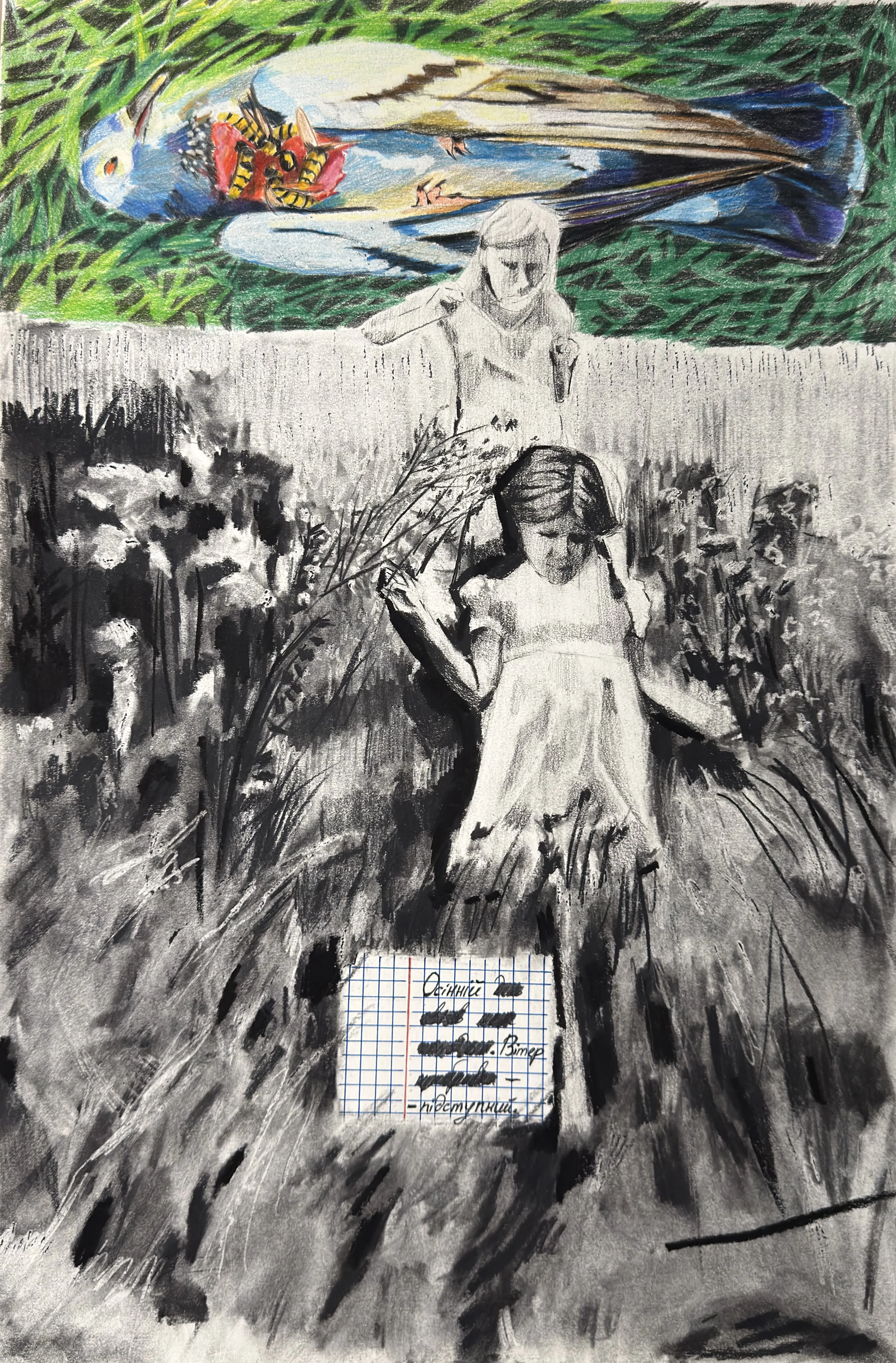 Image of Untitled by kohinooooooooooooor, size: 45.7 x 30.5 см | 18 x 12 in, made of Charcoal, colored pencils, Graphics medium, from Kyiv, part of the Ейфорбіа хеліоскопія series, priced at €170 Photo 1 of 3.