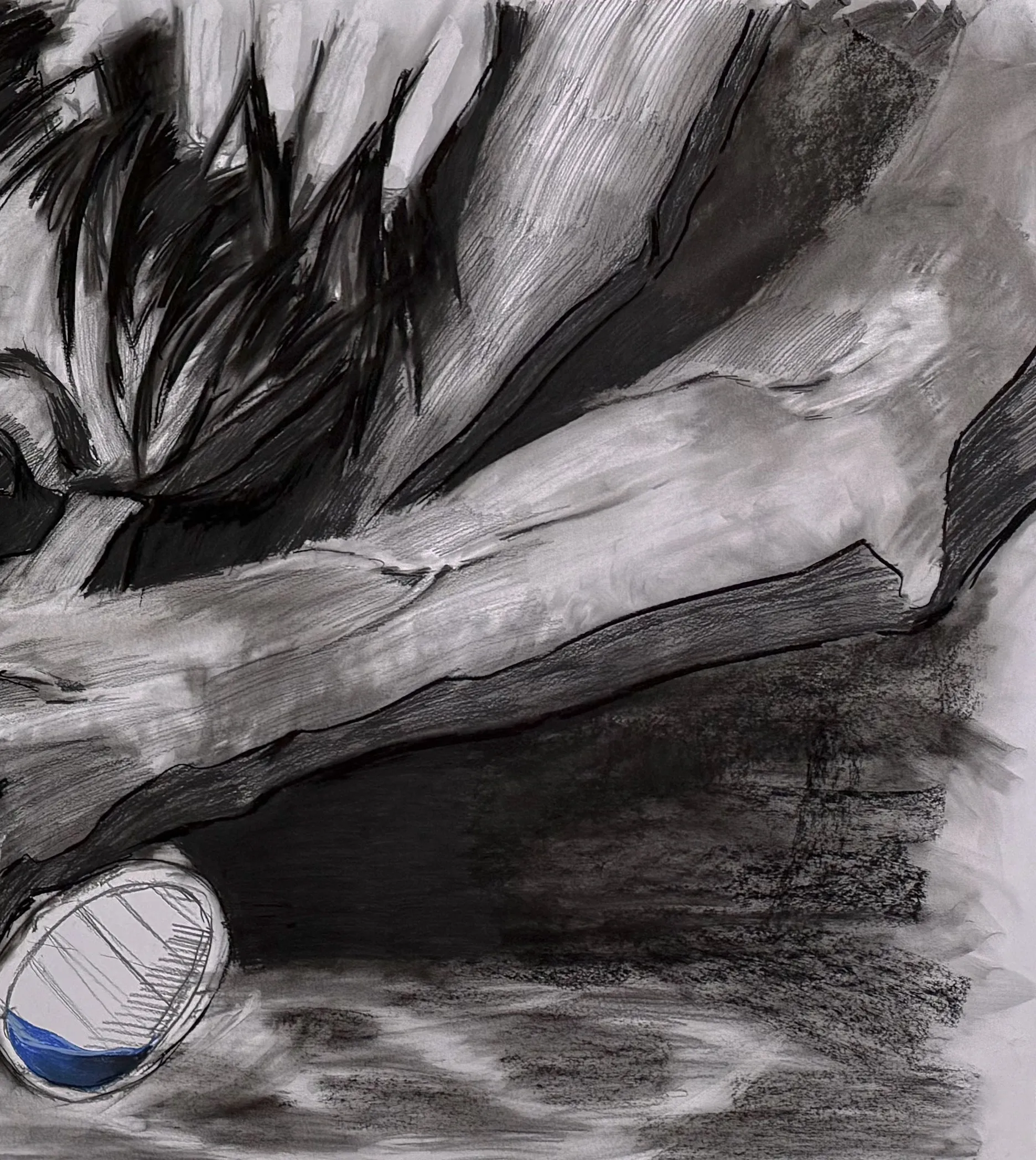 Зображення "Соціум 2" від kohinooooooooooooor, розмір: 230 x 90 см | 90.5 x 35.4 in, матеріали: Вугілля, суха пастель, медіум: Графіка, місто: Київ, серія: Ейфорбіа хеліоскопія, ціна: €500 Фото 4 з 6.