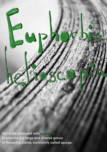 Image of Untitled by kohinooooooooooooor, size: 230 x 90 см | 90.5 x 35.4 in, Graphics medium, part of the Ейфорбіа хеліоскопія series, priced at €500 Photo 6 of 6.